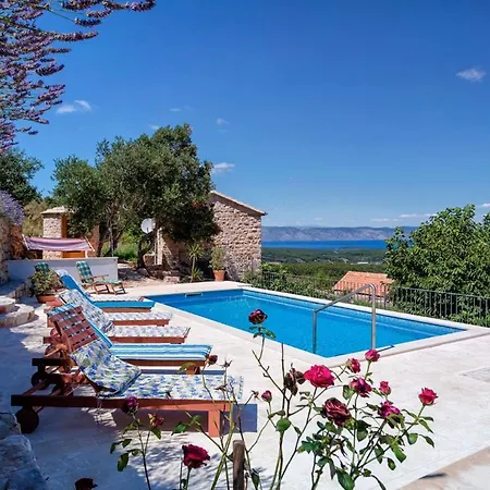 Kuce Hvar